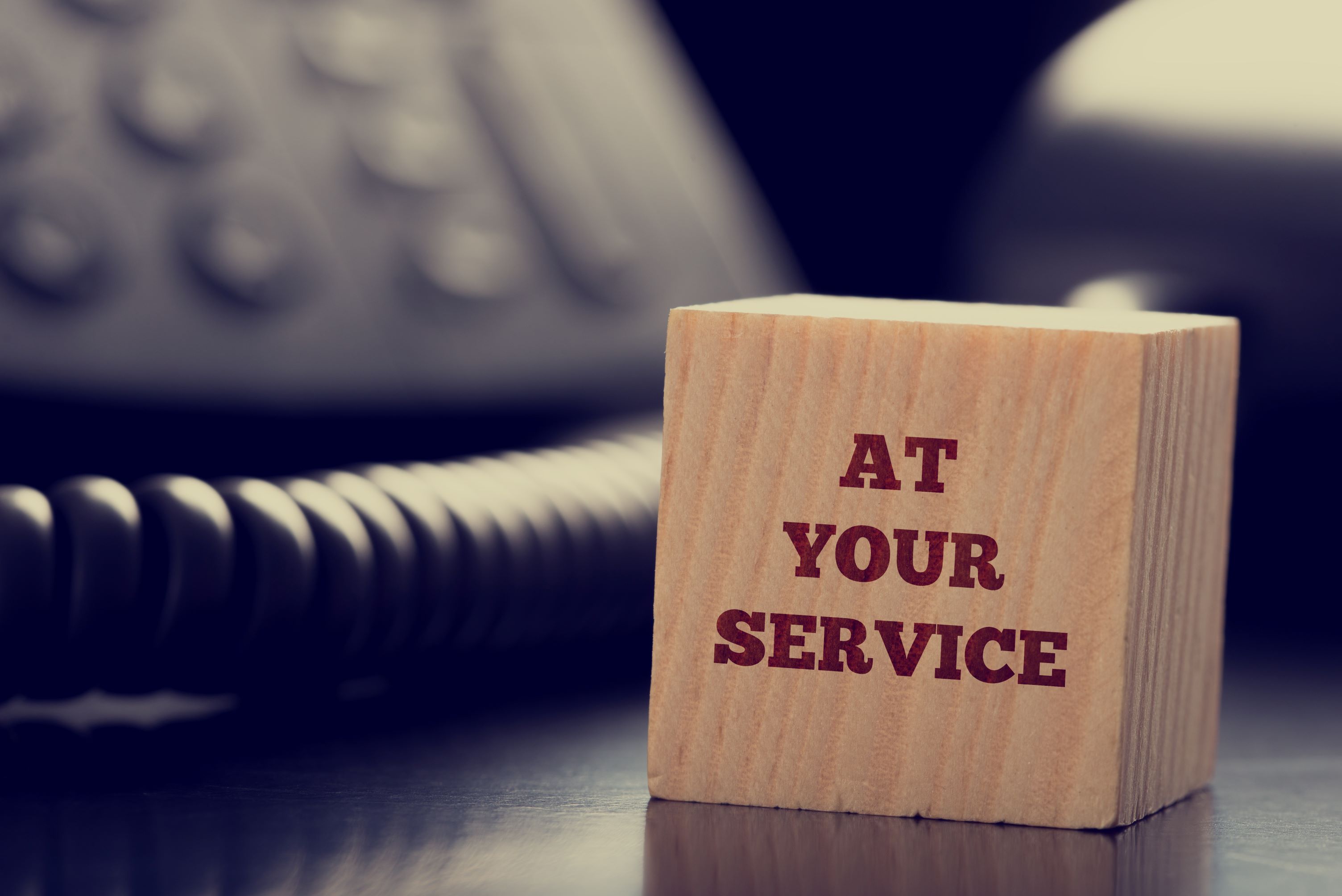At Your Service - Skyway Water & Sewer District
